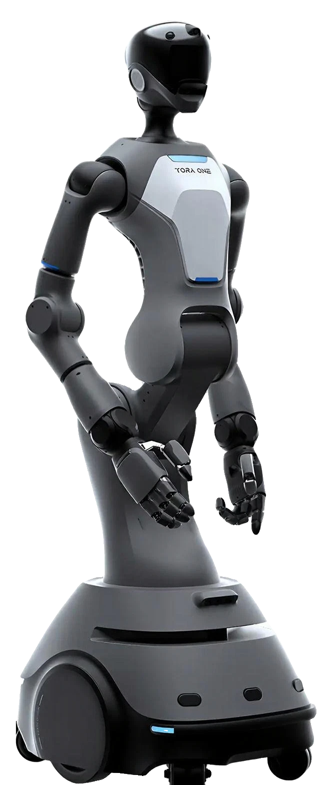 ToraOne