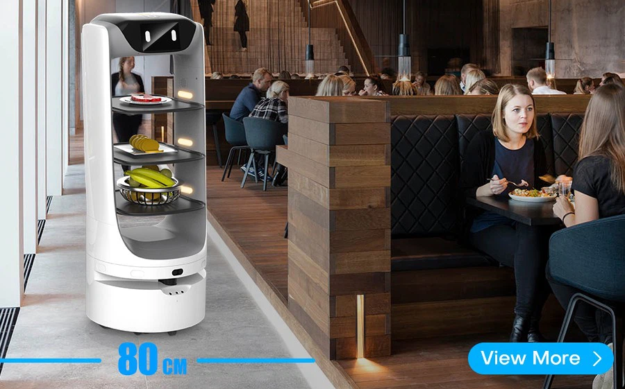 Deligo Delivery Robot