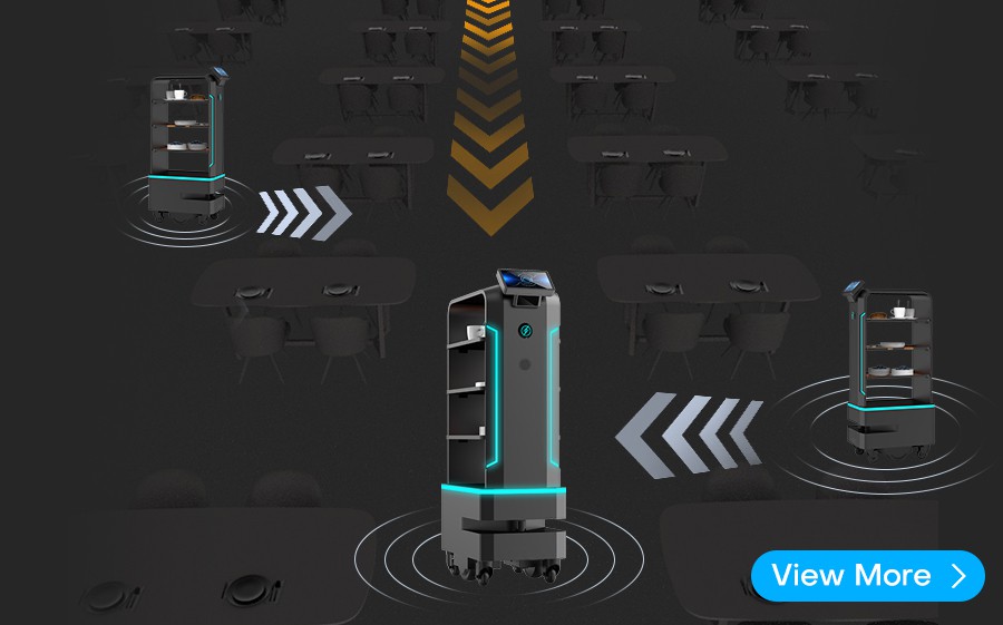 Flash Delivery Robot