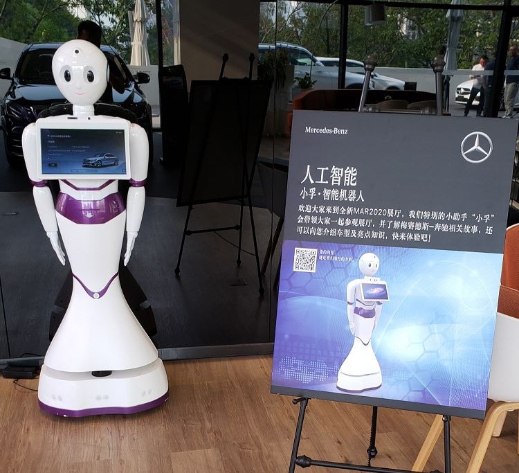 Language Humanoid Service Robot