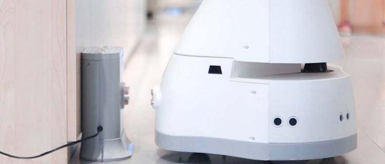 Language Humanoid Service Robot